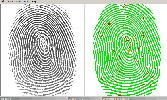 A Fingerprint Comparison.