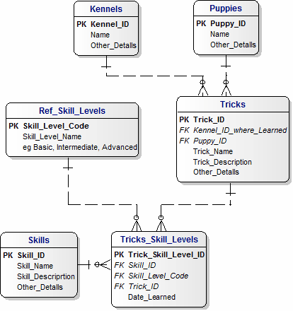 Data Model for Puppies Tricks