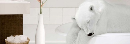 Polar Bear in White Bathroom (Click for Web Site)