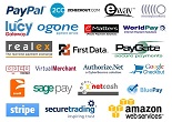 Multiple Payment Methods (Click for Website)
